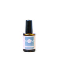 NCM Primer